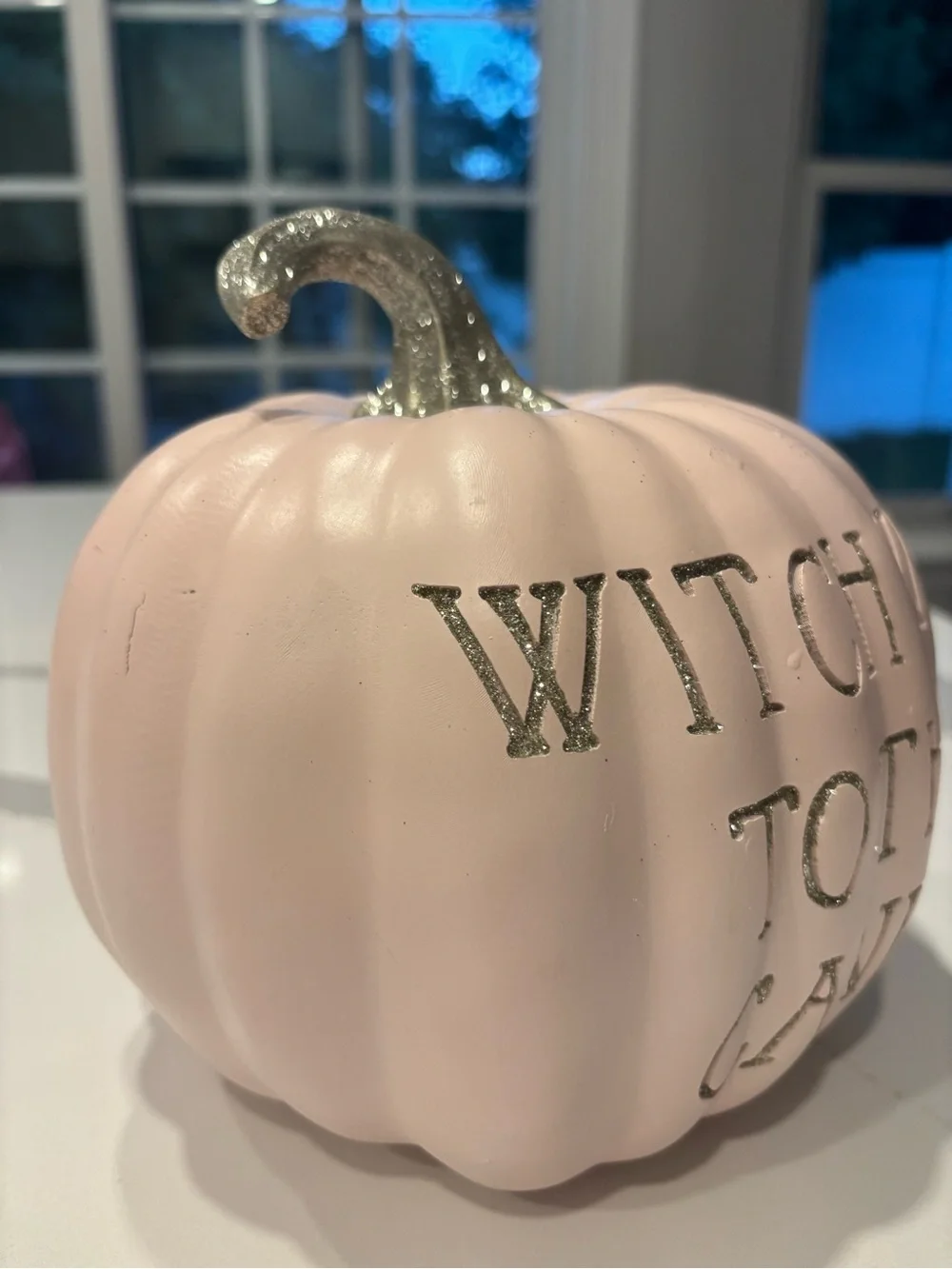 Pink w/ Silver Sparkle Decorative Pumpkin “Witch Way to the Candy” 10 In. Round